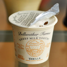 vanilje Sheep Milk Yogurt from Bellwether Farms